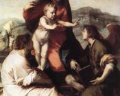 安德烈 德尔 萨托 : Madonna della Scala